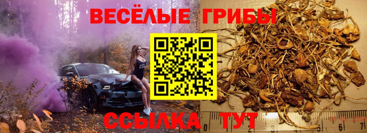 Таганрог  Галлюциногенные грибы GOLDEN TEACHER  Вход с VPN 