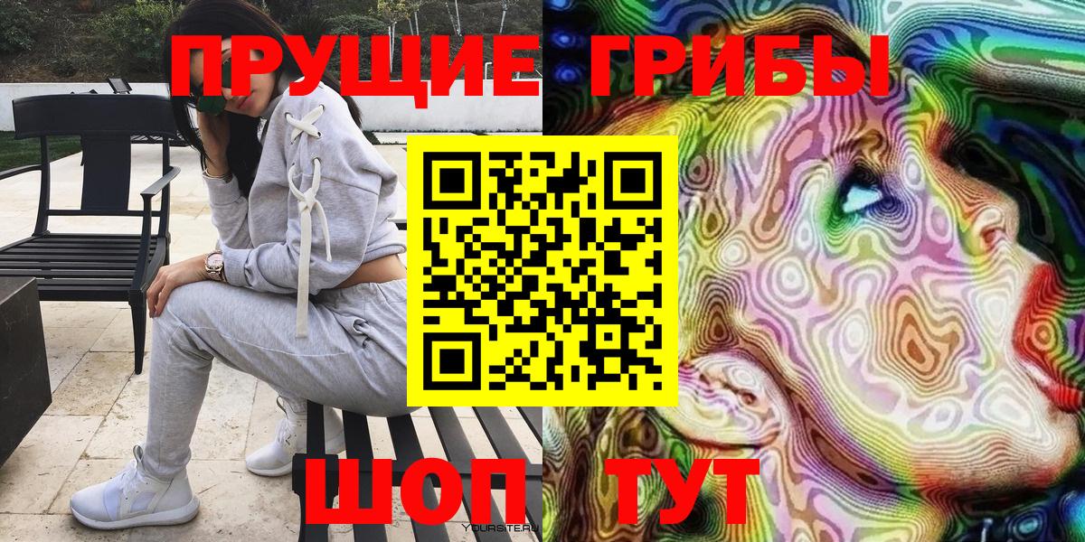 Псилоцибиновые грибы Psilocybe Таганрог